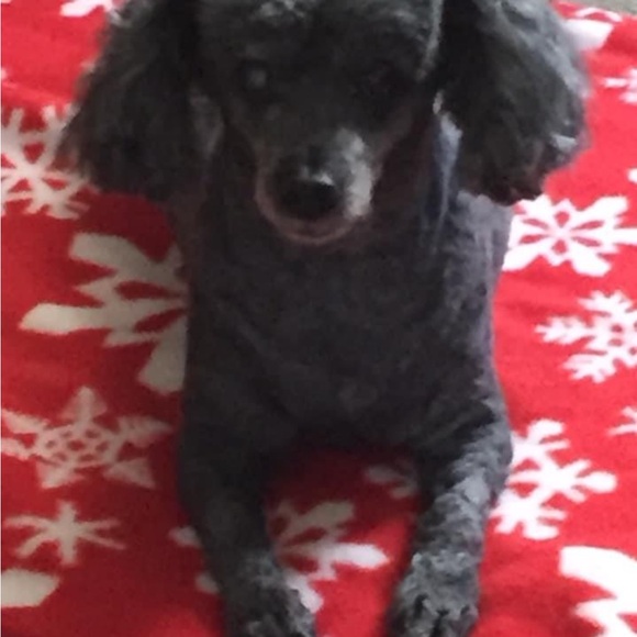 @tt1342 Giveaway Snack, Starbucks or Stickers? - Picture 14 of 15